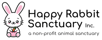 happyrabbitsanctuary.org